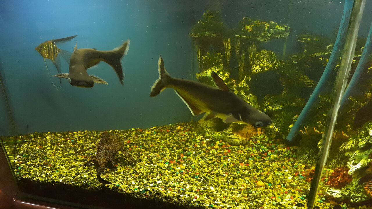 Гостиница Опава Камышин-78