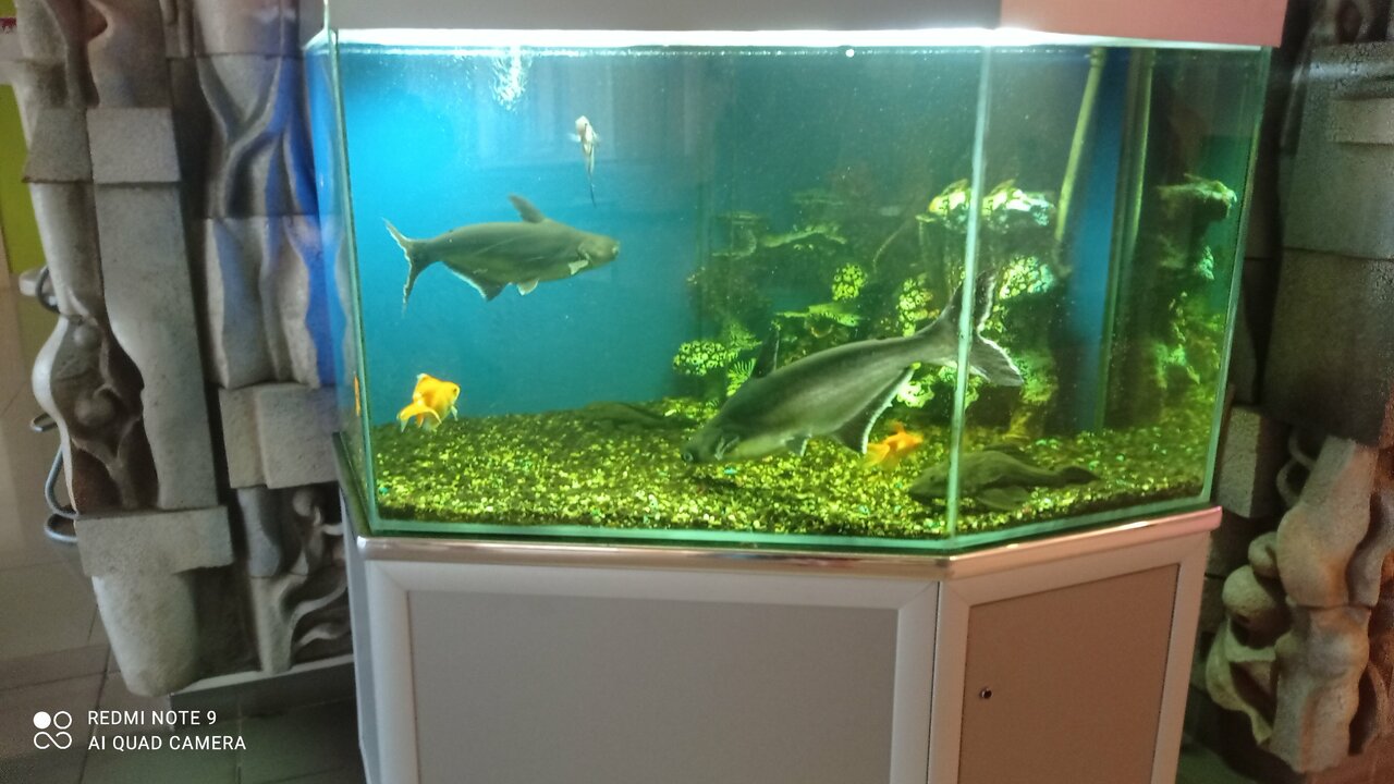 Гостиница Опава Камышин-55