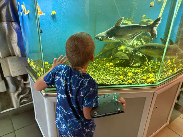 Гостиница Опава Камышин-93