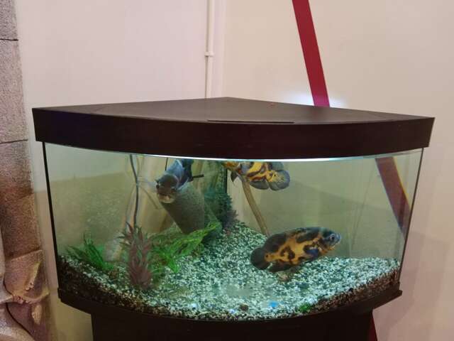 Гостиница Опава Камышин-100