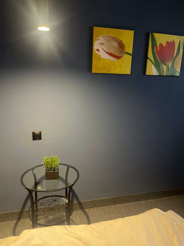 Гостиница Опава Камышин-90