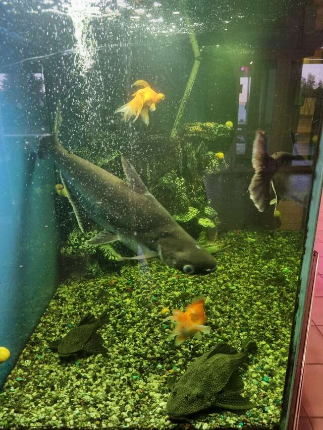 Гостиница Опава Камышин-127