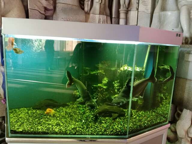 Гостиница Опава Камышин-141